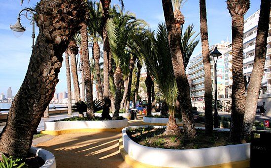 Parque de Elche
